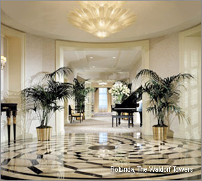 American Express Hilton